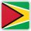 Guyana Flag