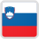 Slovenia Flag